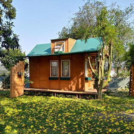 فندق Mini House Park كامبو الغر المظهر الخارجي الصورة