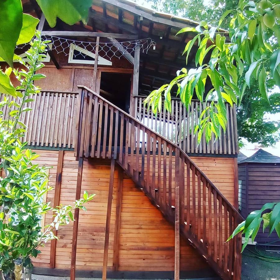 فندق Mini House Park كامبو الغر المظهر الخارجي الصورة