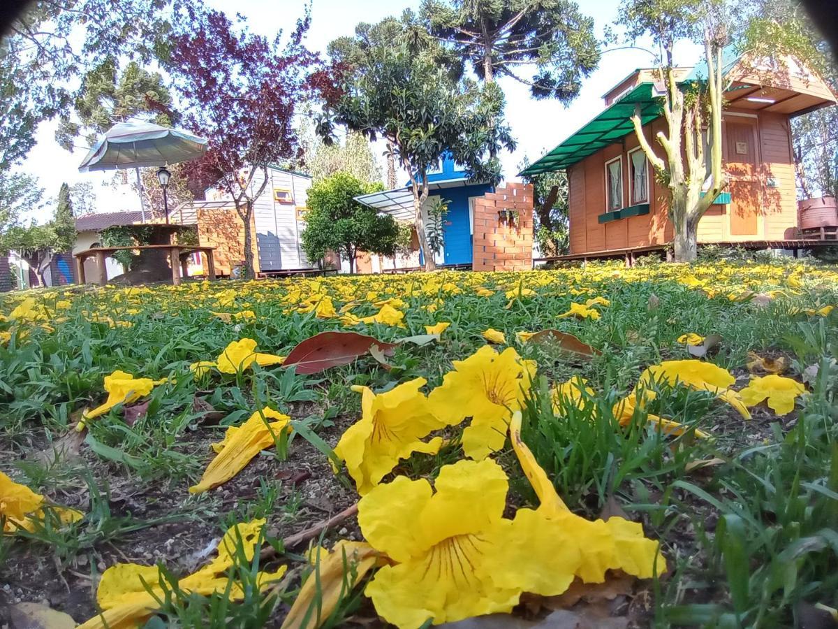 فندق Mini House Park كامبو الغر المظهر الخارجي الصورة