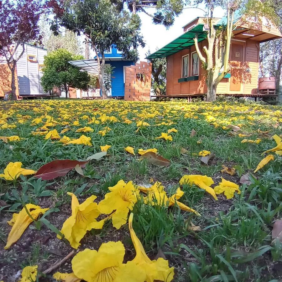 فندق Mini House Park كامبو الغر المظهر الخارجي الصورة
