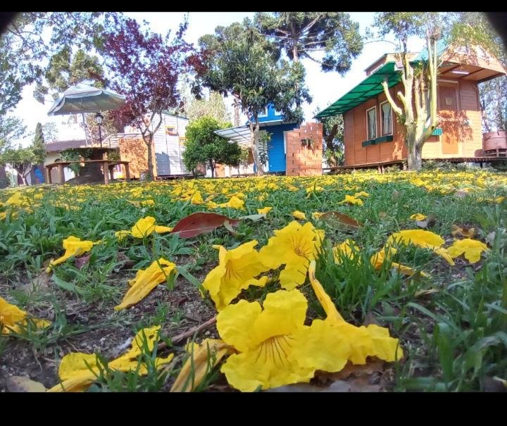 فندق Mini House Park كامبو الغر المظهر الخارجي الصورة