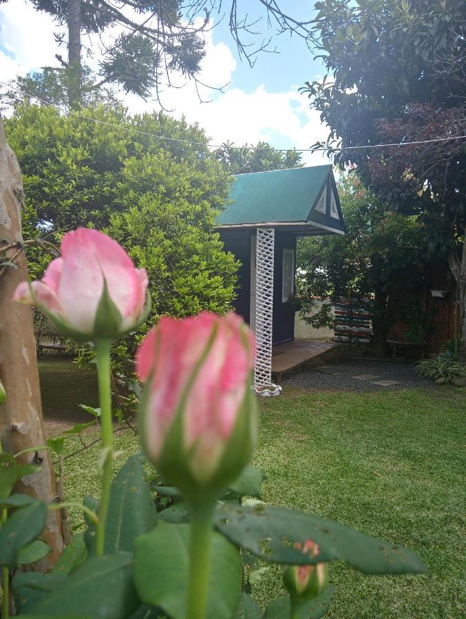 فندق Mini House Park كامبو الغر المظهر الخارجي الصورة